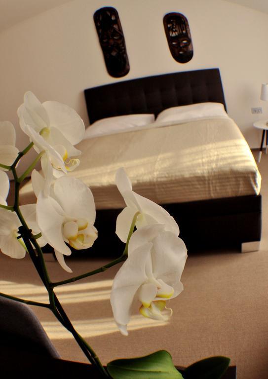 Appartement Studia Letcu 2A à Olomouc Extérieur photo